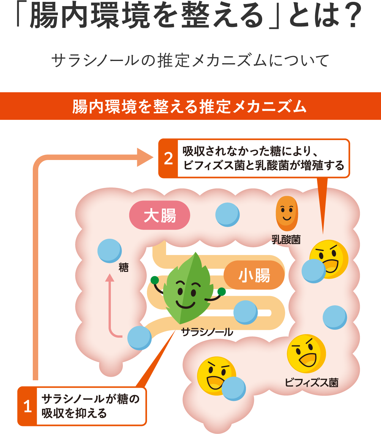 「腸内環境を整える」とは？