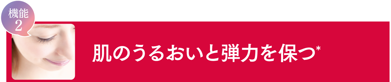 機能2 肌のうるおいと弾力を保つ