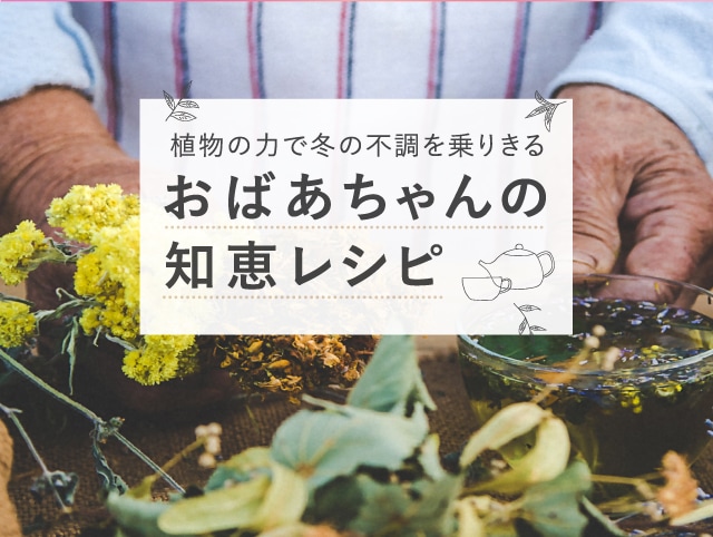 植物の力で冬の不調を乗り切るおばあちゃんの知恵レシピ