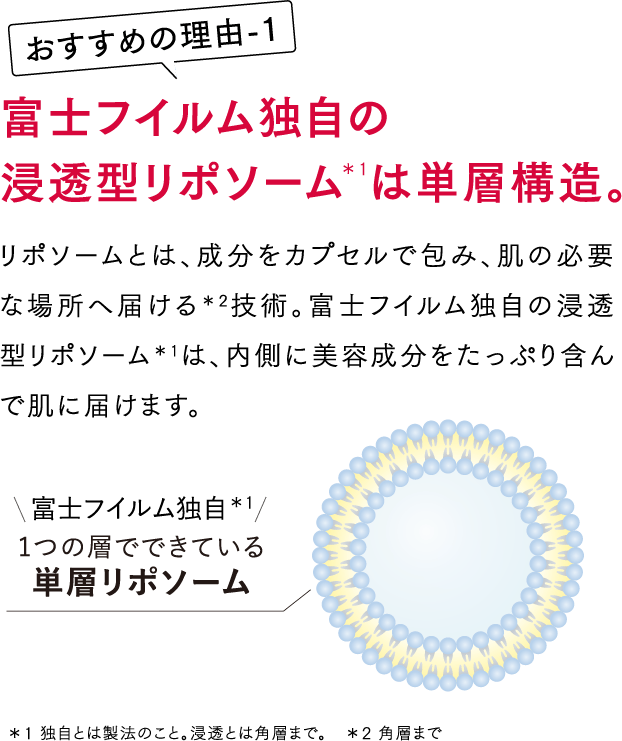 富士フイルム独自の浸透型リポソーム＊1は単層構造。