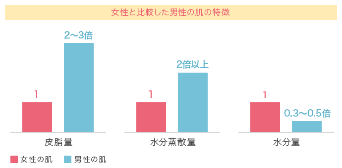 女性と比較した男性の肌の特徴
