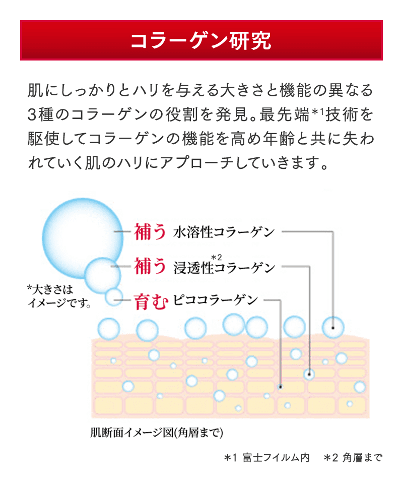 コラーゲン研究 肌にしっかりとハリを与える大きさと機能の異なる3種のコラーゲンの役割を発見。最先端＊1技術を駆使してコラーゲンの機能を高め年齢と共に失われていく肌のハリにアプローチしていきます。 ＊1 富士フイルム内 ＊2 角層まで