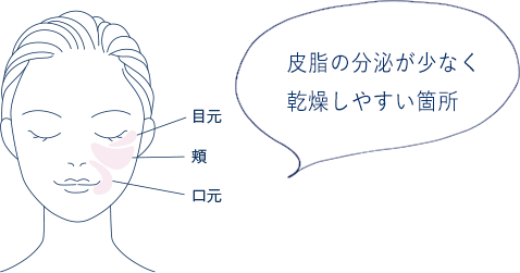 ご使用方法