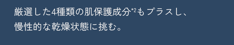 厳選した4種類の肌保護成分*2もプラスし、慢性的な乾燥状態に挑む。