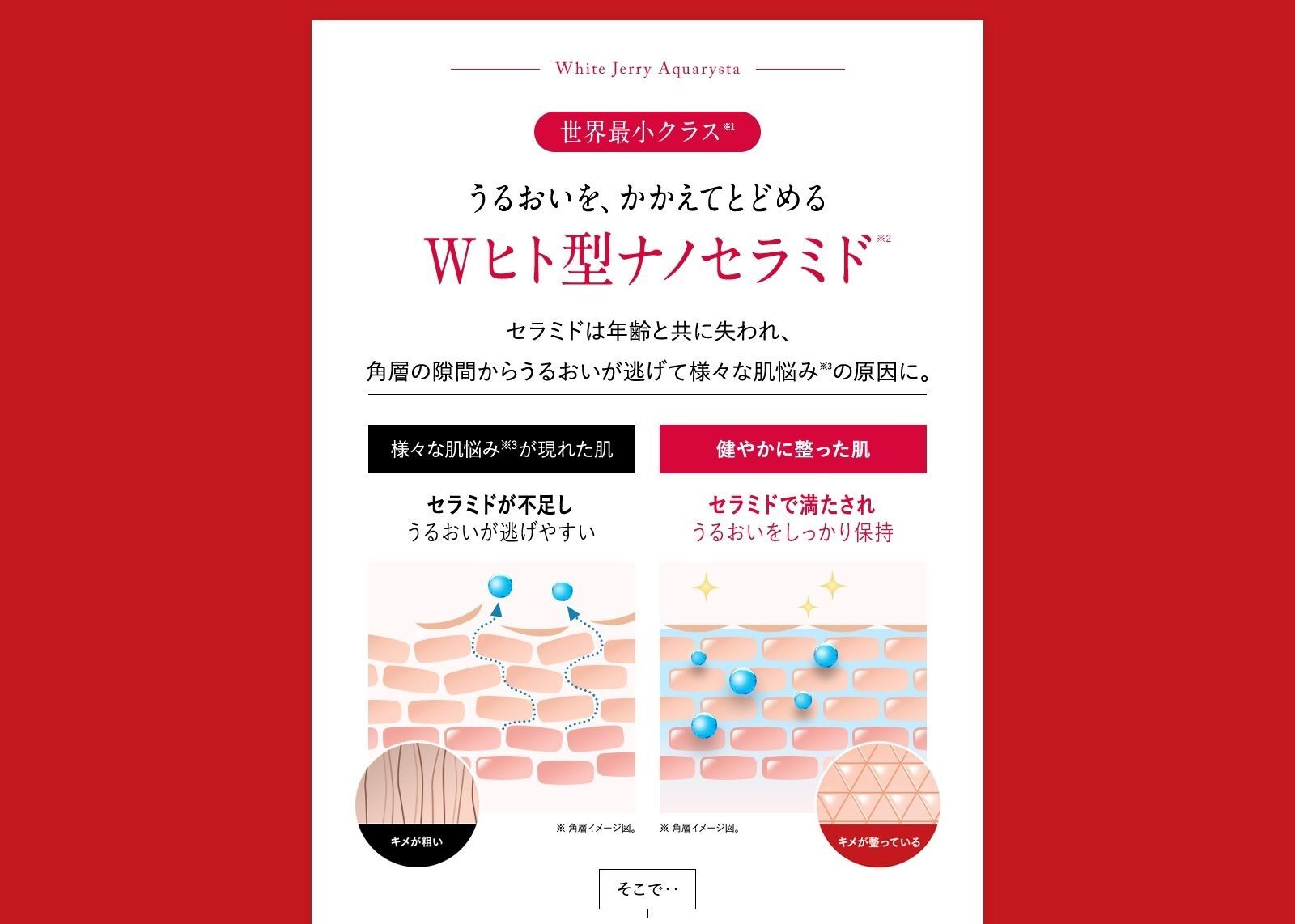 うるおいを、かかえてとどめるWヒト型ナノセラミド