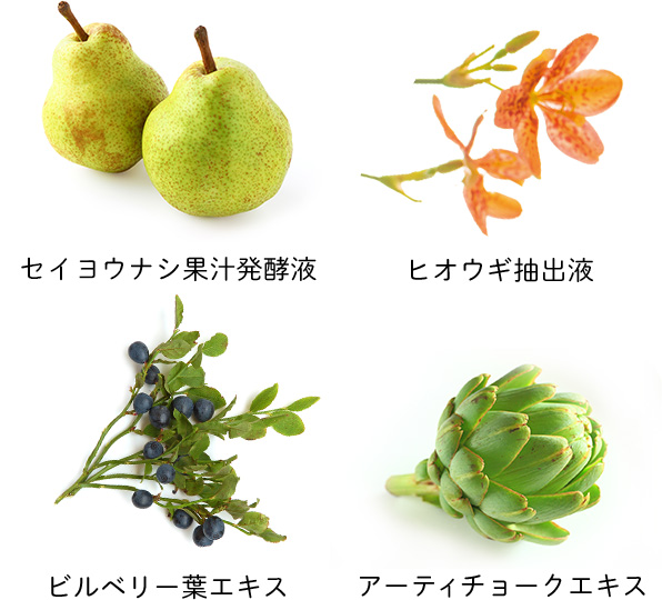 セイヨウナシ果汁発酵液　ヒオウギ抽出液　ビルベリー葉エキス　アーティチョークエキス