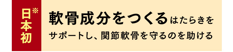 日本初※ 軟骨成分をつくるはたらきをサポートし、関節軟骨を守るのを助ける