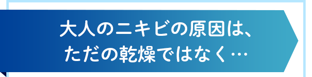 大人のニキビの原因は、ただの乾燥ではなく…