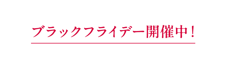 ブラックフライデー開催中！