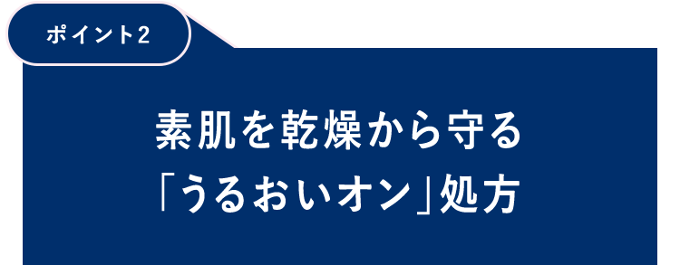 【ポイント2】素肌を乾燥から守る「うるおいイオン」処方