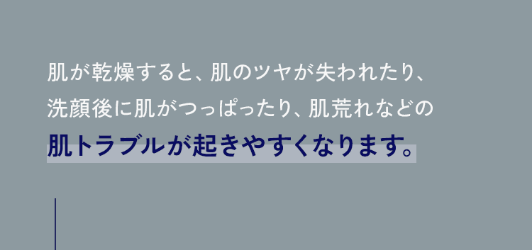 肌が乾燥すると、肌のツヤが失われたり、洗顔後に肌がつっぱったり、肌荒れなどの肌トラブルが起きやすくなります。
