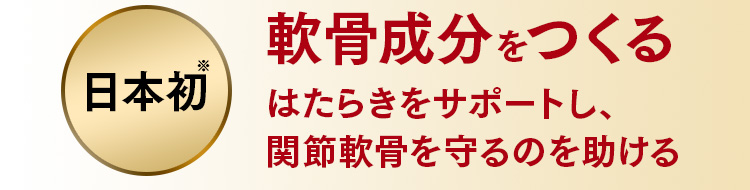 日本初※ 軟骨成分をつくるはたらきをサポートし、関節軟骨を守るのを助ける