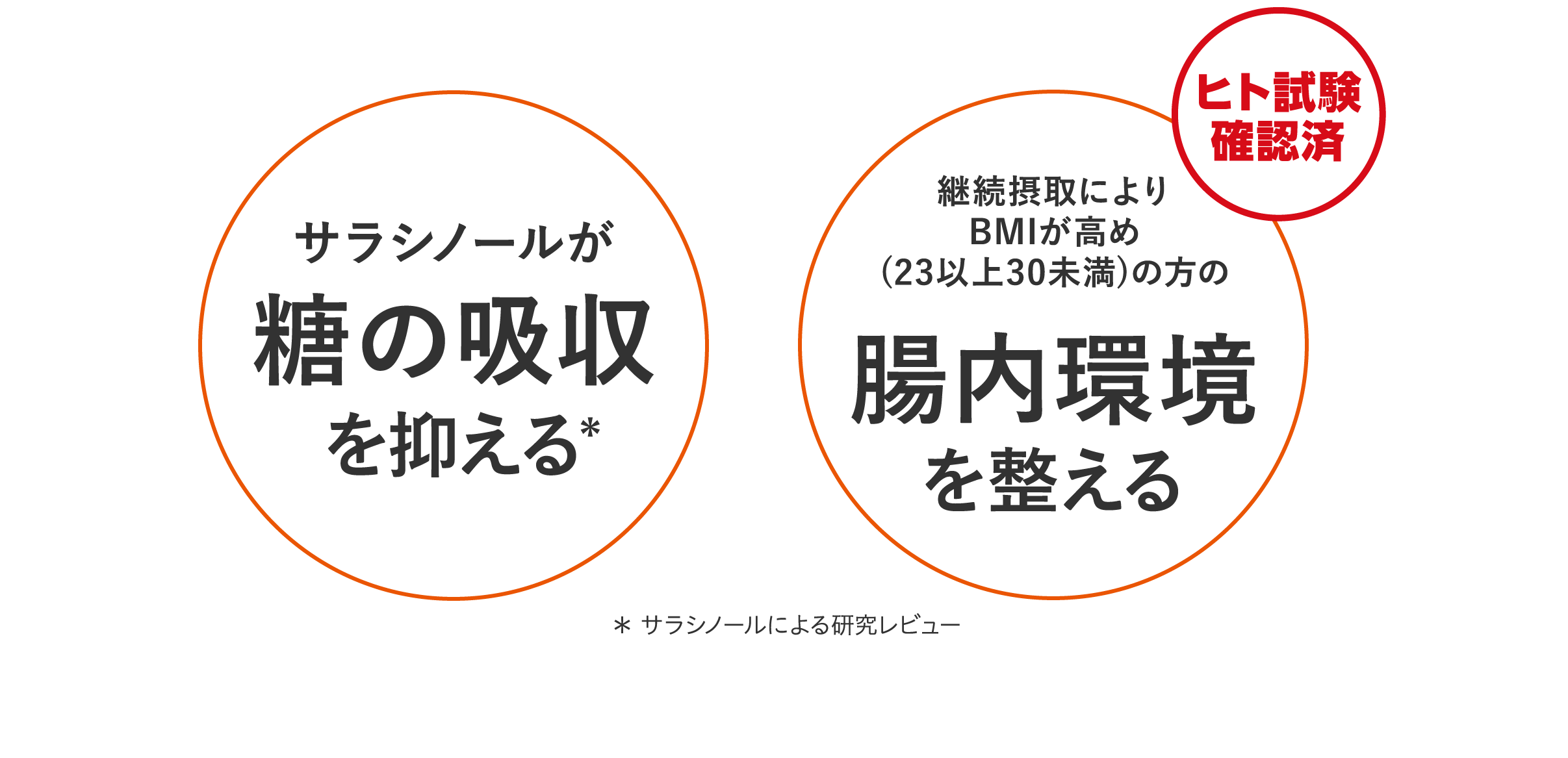 サラシノールが糖の吸収を抑える／腸内環境を整える