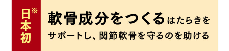 日本初※ 軟骨成分をつくるはたらきをサポートし、関節軟骨を守るのを助ける