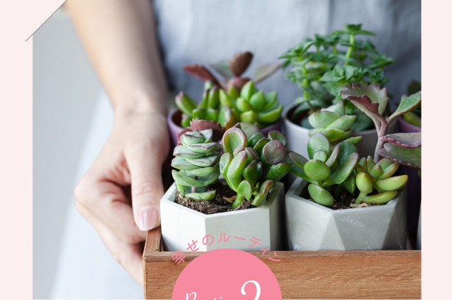 幸せのルーティン2