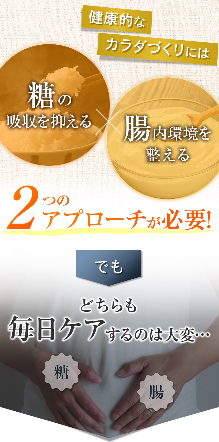 健康的なカラダ作りには糖の吸収を抑える×腸内環境を整える 2つのアプローチが必要！でも毎日ケアするのは大変…