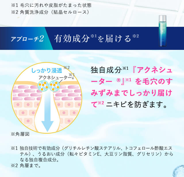 【アプローチ2】有効成分を届ける