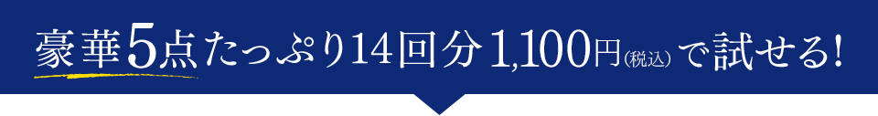 豪華5点たっぷり14回分 1,100円（税込）で試せる！
