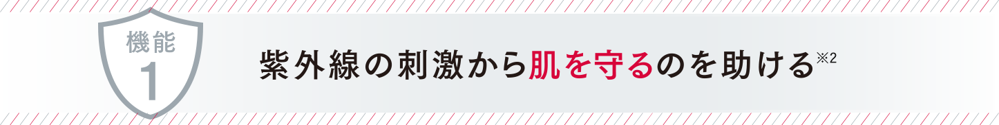 紫外線の刺激から肌を守るのを助ける