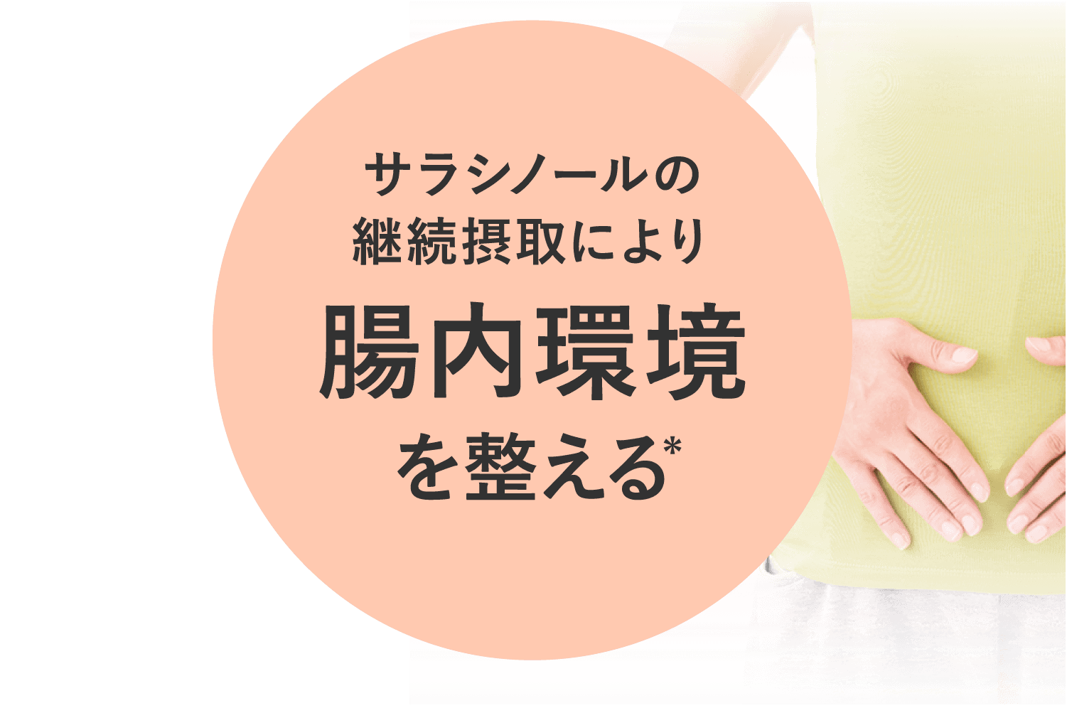 サラシノールの継続摂取により腸内環境を整える