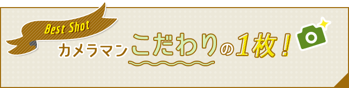 カメラマンこだわりの1枚