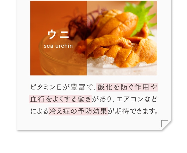 代表的な魚介の働き