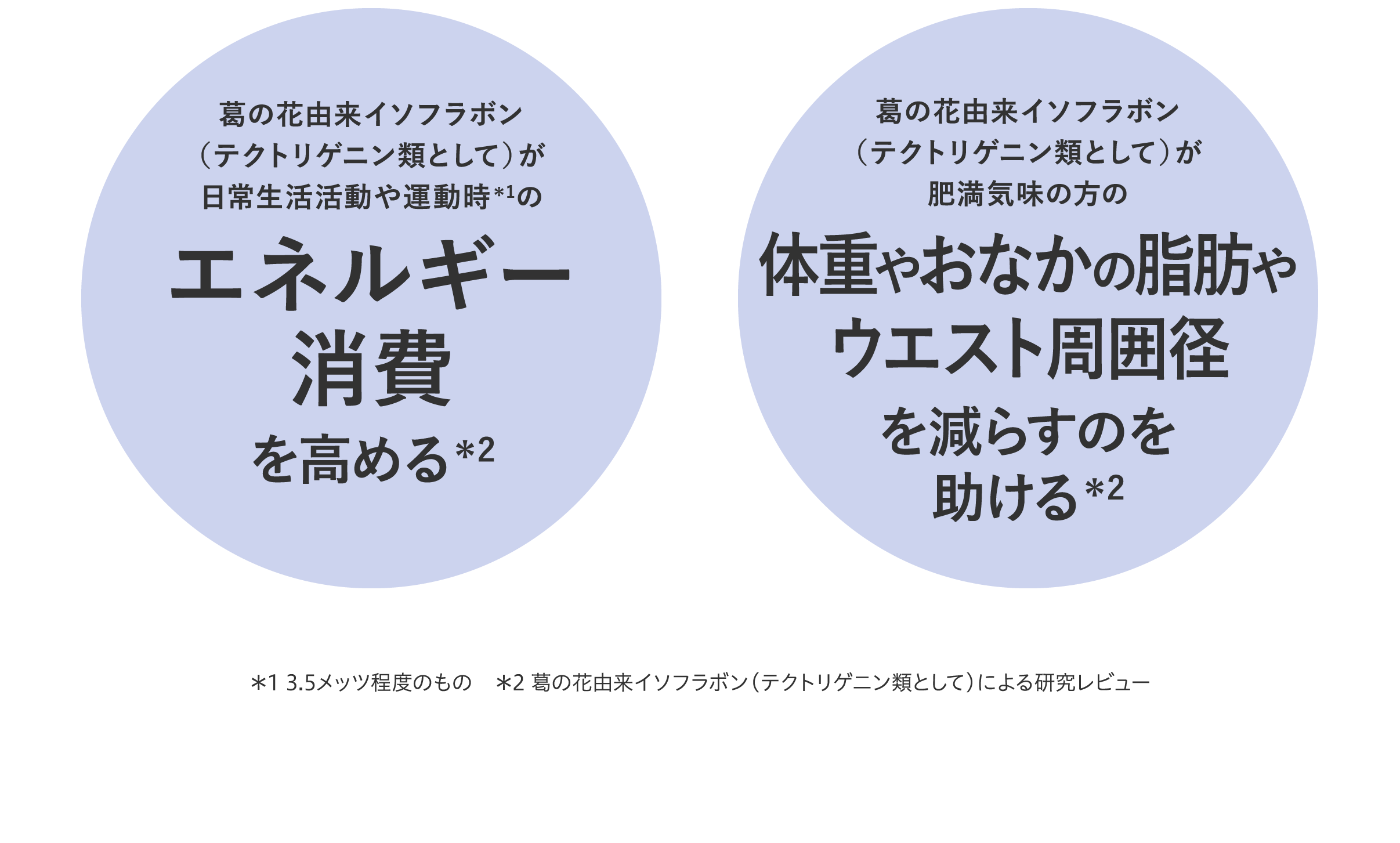 葛の花由来イソフラボンが日常生活活動や運動時*のエネルギー消費を高める