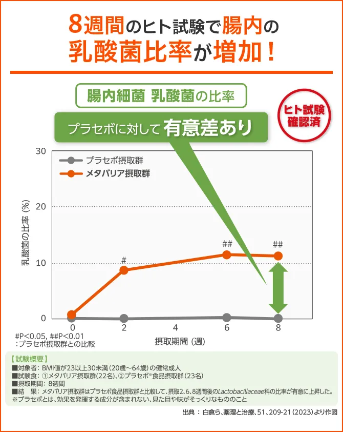 腸内の乳酸菌比率が増加