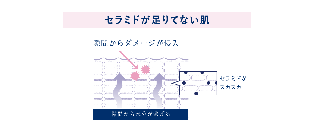 セラミドが足りてない肌