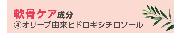 軟骨ケア成分 ④オリーブ由来ヒドロキシチロソール