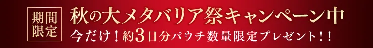 秋の大メタバリア祭キャンペーン中