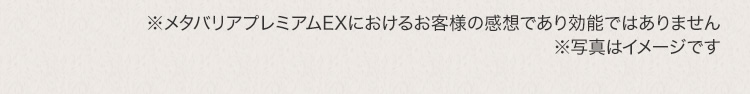 注釈