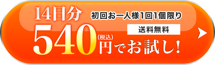 約14日分 540円（税込）でお試し