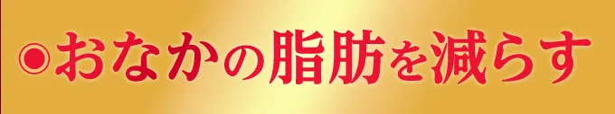 おなかの脂肪を減らす