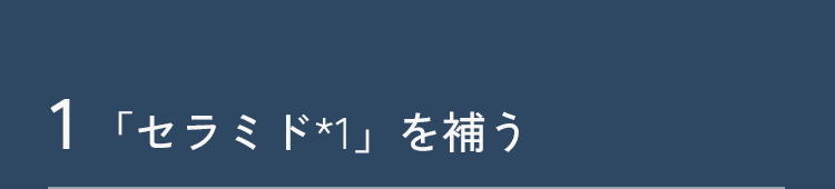 1 「セラミド*1」を補う