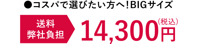 コスパで選びたい方へ！BIGサイズ 送料弊社負担 14,300円（税込）