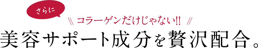 さらにコラーゲンだけじゃない!!美容サポート成分を贅沢配合。