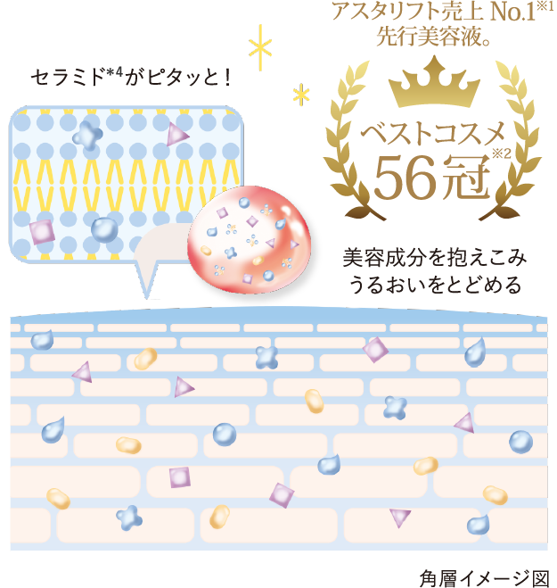 アスタリフト売上 No1*1 先行美容液。 ベストコスメ56冠*2 セラミド*4がピタッと！美容成分を抱えこみうるおいをとどめる。 角層イメージ図
