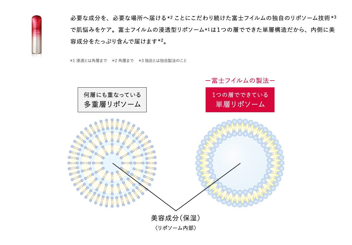 必要な成分を、必要な場所へ届ける＊2ことにこだわり続けた富士フイルムの独自のリポソーム技術＊3で肌悩みをケア。富士フイルムの浸透型リポソーム＊1は１つの層でできた単層構造だから、内側に美容成分をたっぷり含んで届けます＊2。 ＊1 浸透とは角層まで ＊2 角層まで ＊3 独自とは独自製法のこと