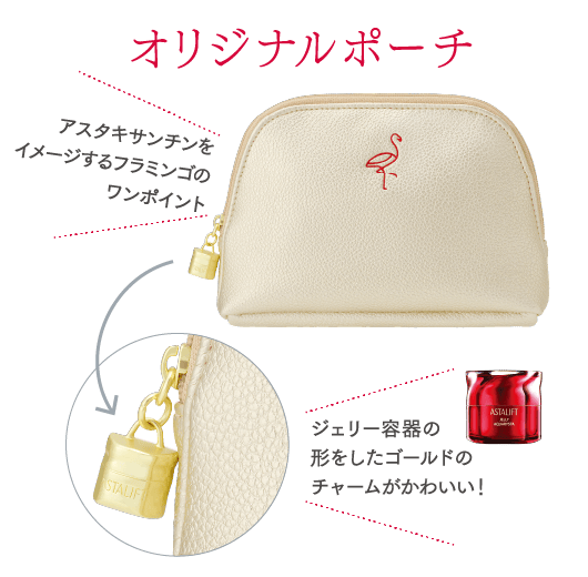 ASTALIFT-公式サイト限定 スペシャルキットページ | FUJIFILM