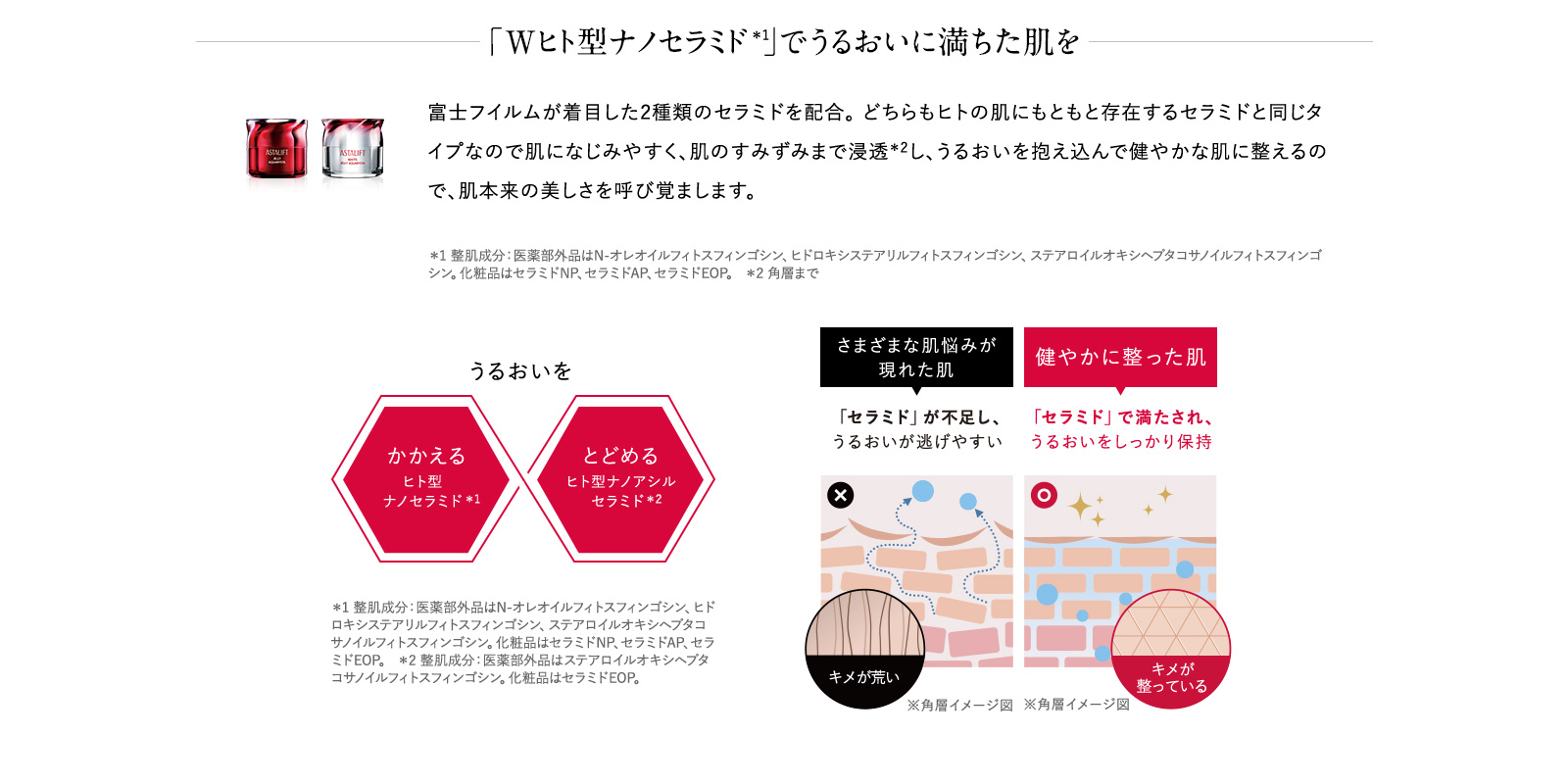 「Wヒト型ナノセラミド＊1」でうるおいに満ちた肌を