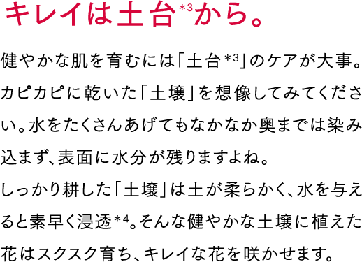 キレイは土台＊3から。