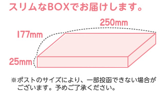 スリムなBOXでお届けします。