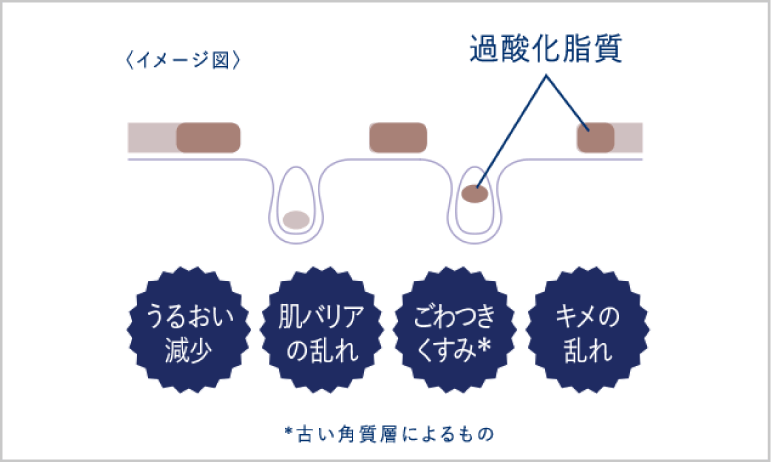 イメージ図