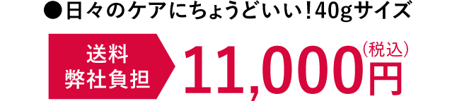 日々のケアにちょうどいい！40gサイズ 送料弊社負担 11,000円（税込）