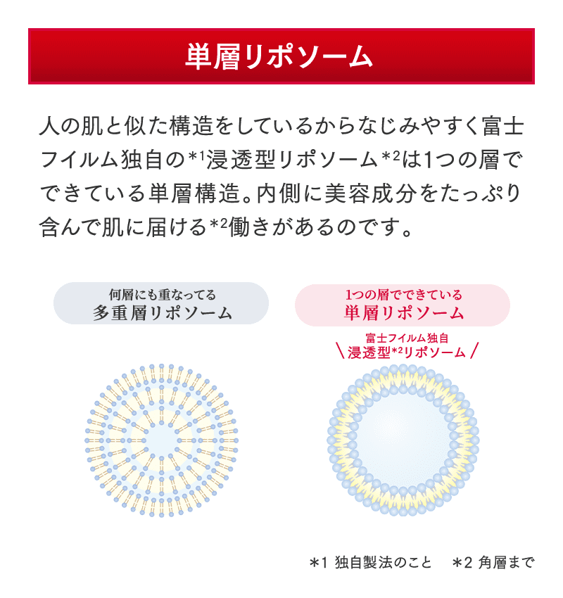 単層リポソーム 人の肌と似た構造をしているからなじみやすく富士フイルム独自の＊1浸透型リポソーム＊2は1つの層でできている単層構造。内側に美容成分をたっぷり含んで肌に届ける＊2働きがあるのです。 ＊1 独自製法のこと ＊2 角層まで