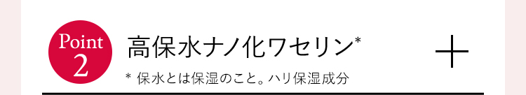 高保水ナノ化ワセリン