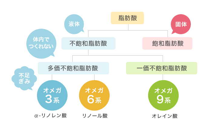 オイルの基礎知識