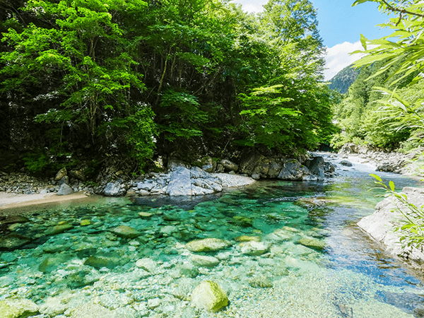 スキンケアの歴史を知ろう ビューティー ヘルスケア特集 Fujifilm ビューティー ヘルスケア Online