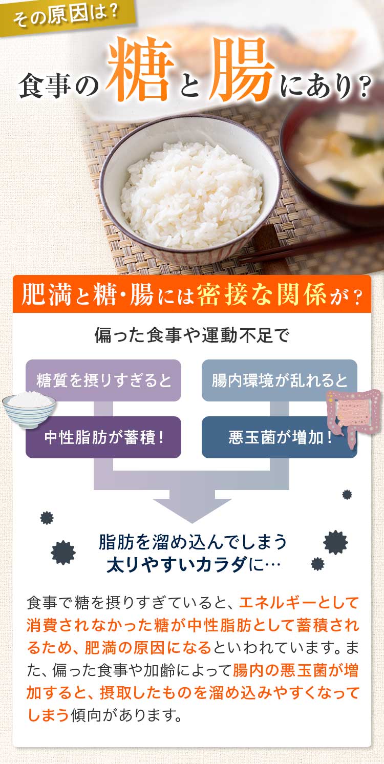 その原因は食事の糖と腸にあり？